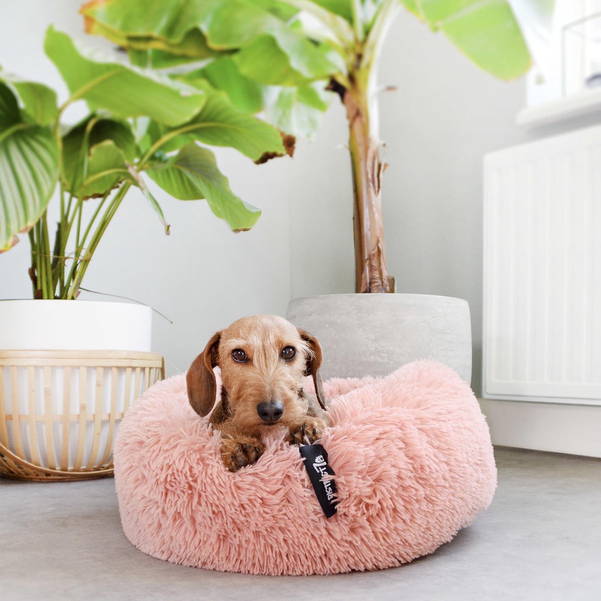 District 763 Hondenmand Donut Fuzz Zand - Roze