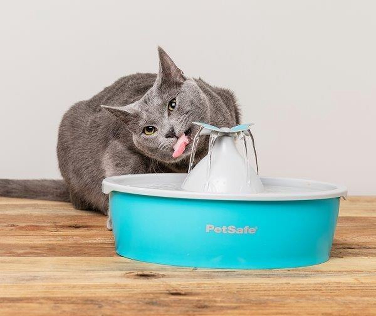 Petsafe Drinkfontein Drinkwell Butterfly - Blauw