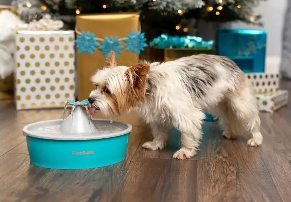 Petsafe Drinkfontein Drinkwell Butterfly - Blauw