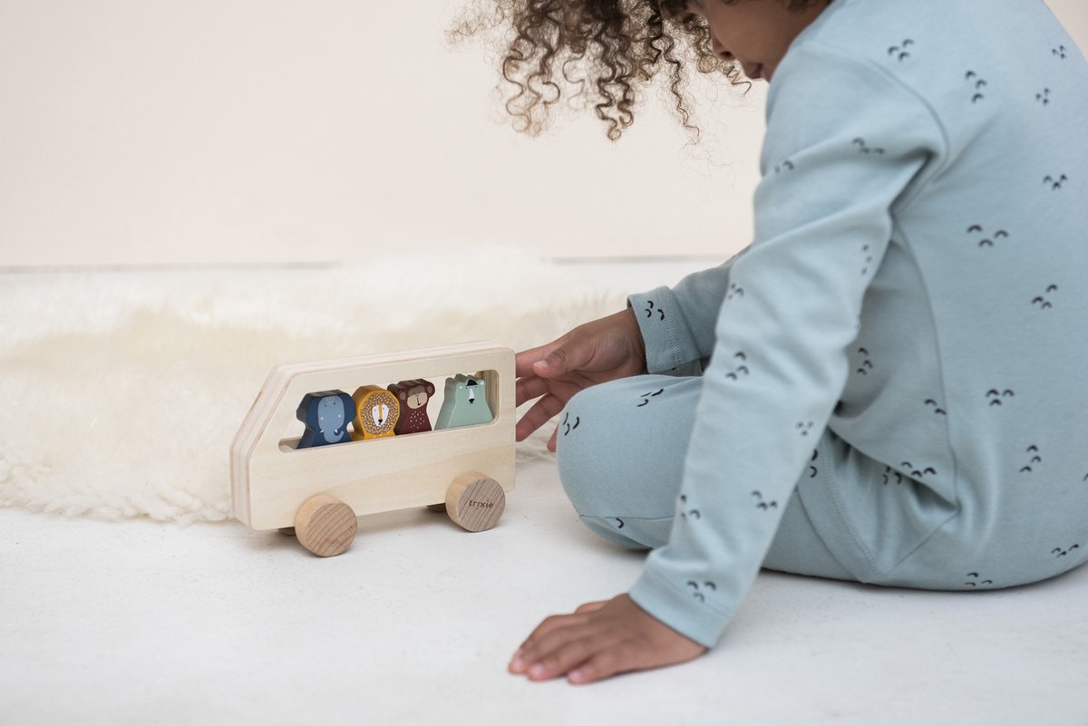 Trixie bus Dieren junior 12 x 18 x 6 cm hout naturel 5 delig