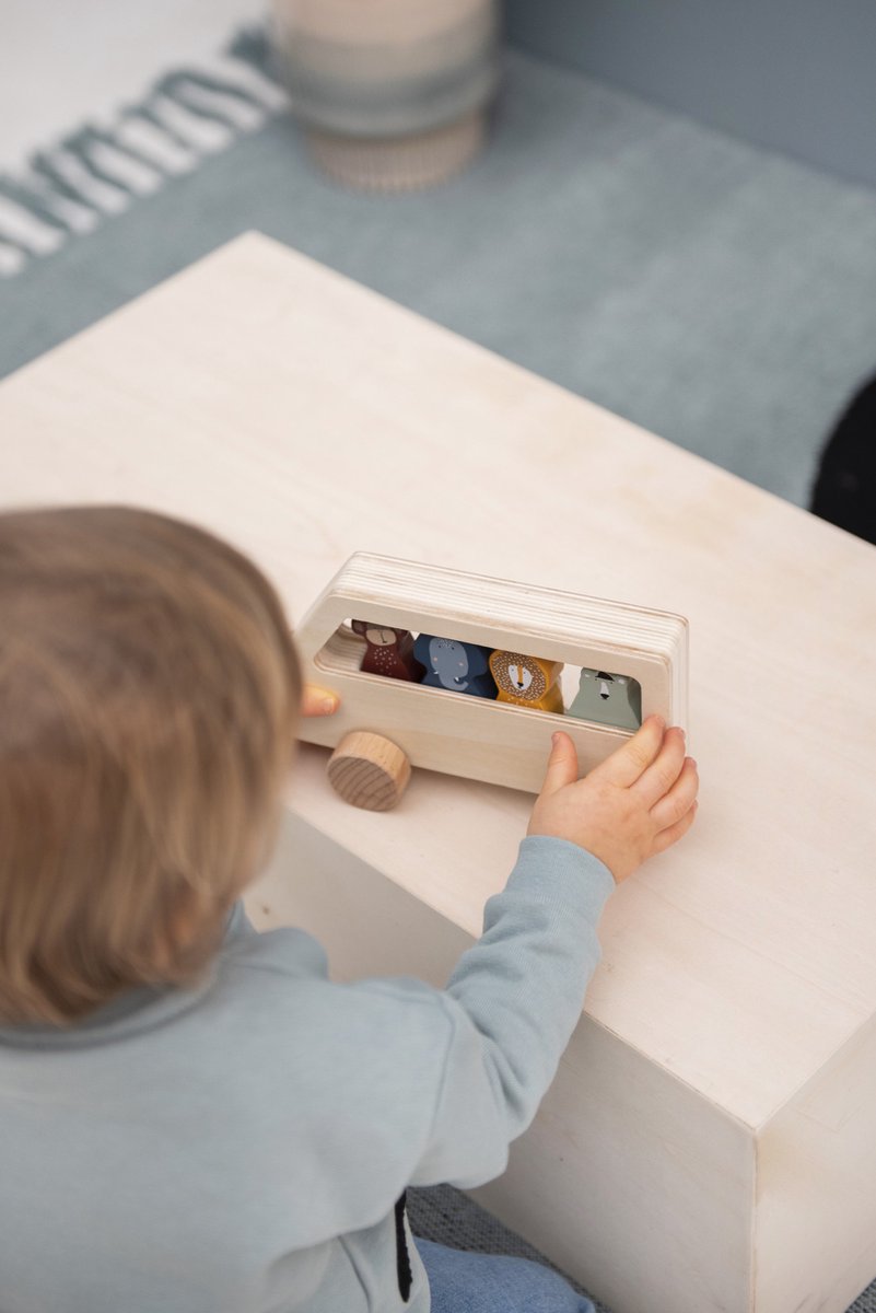 Trixie bus Dieren junior 12 x 18 x 6 cm hout naturel 5 delig