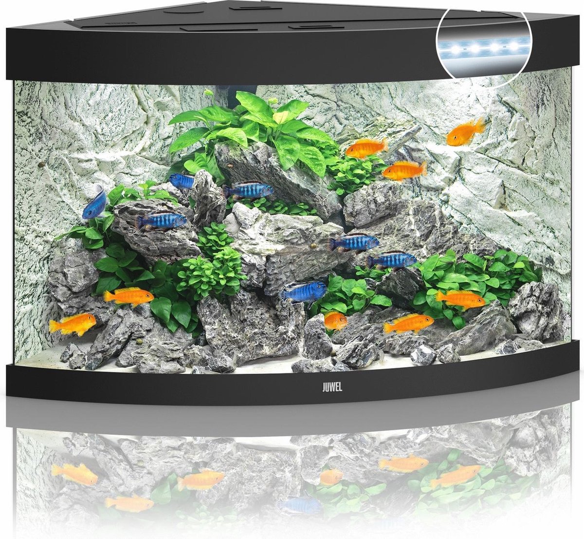 Juwel Aquarium Trigon 190 Led 70x70x60 cm - Aquaria - Ca. 190 L - Zwart