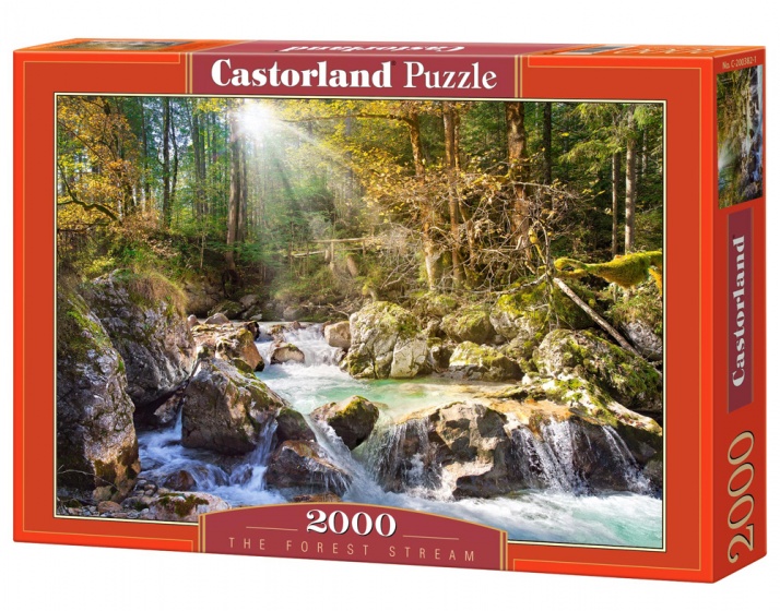 Castorland legpuzzel The Forest Stream 2000 stukjes