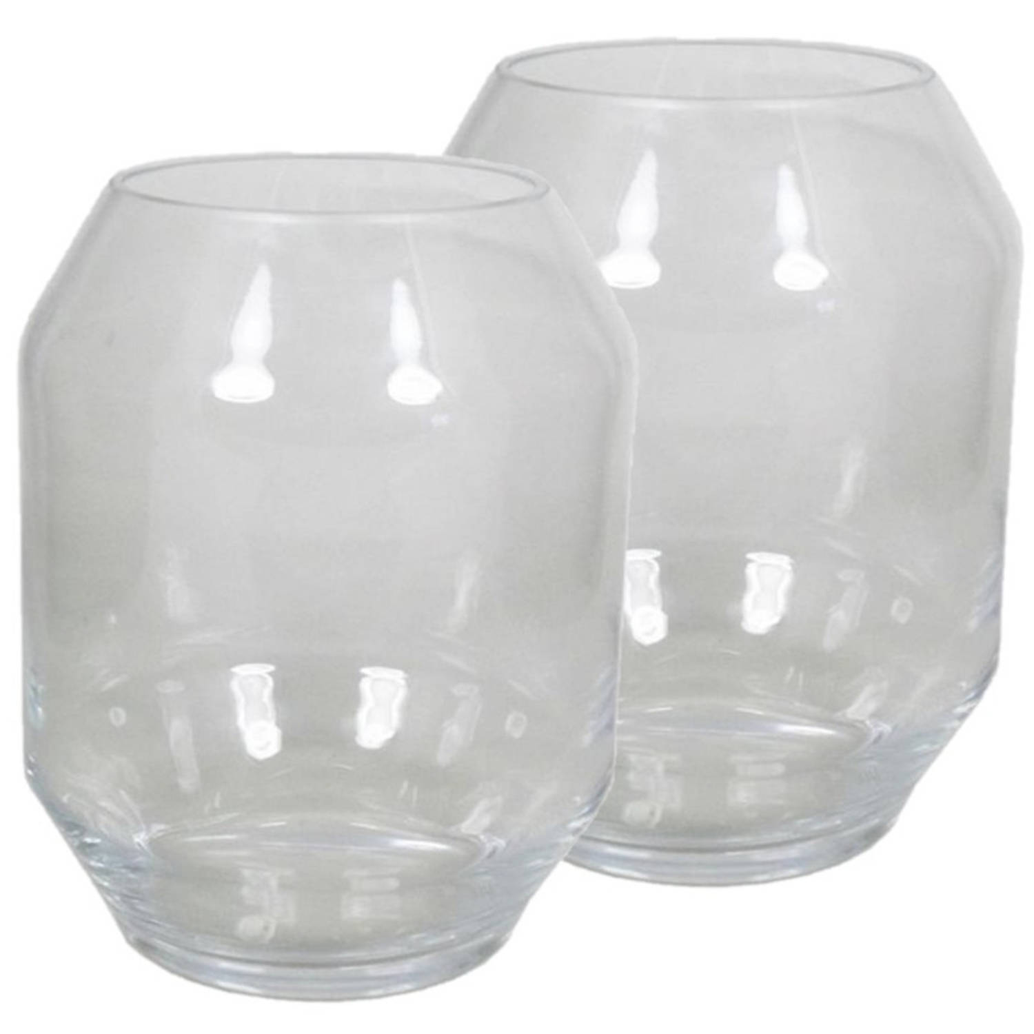 Bellatio Decorations 2x Stuks Ronde Vaas Helder Glas 25 Cm - Bolvormige Bloemenvazen Van Glas