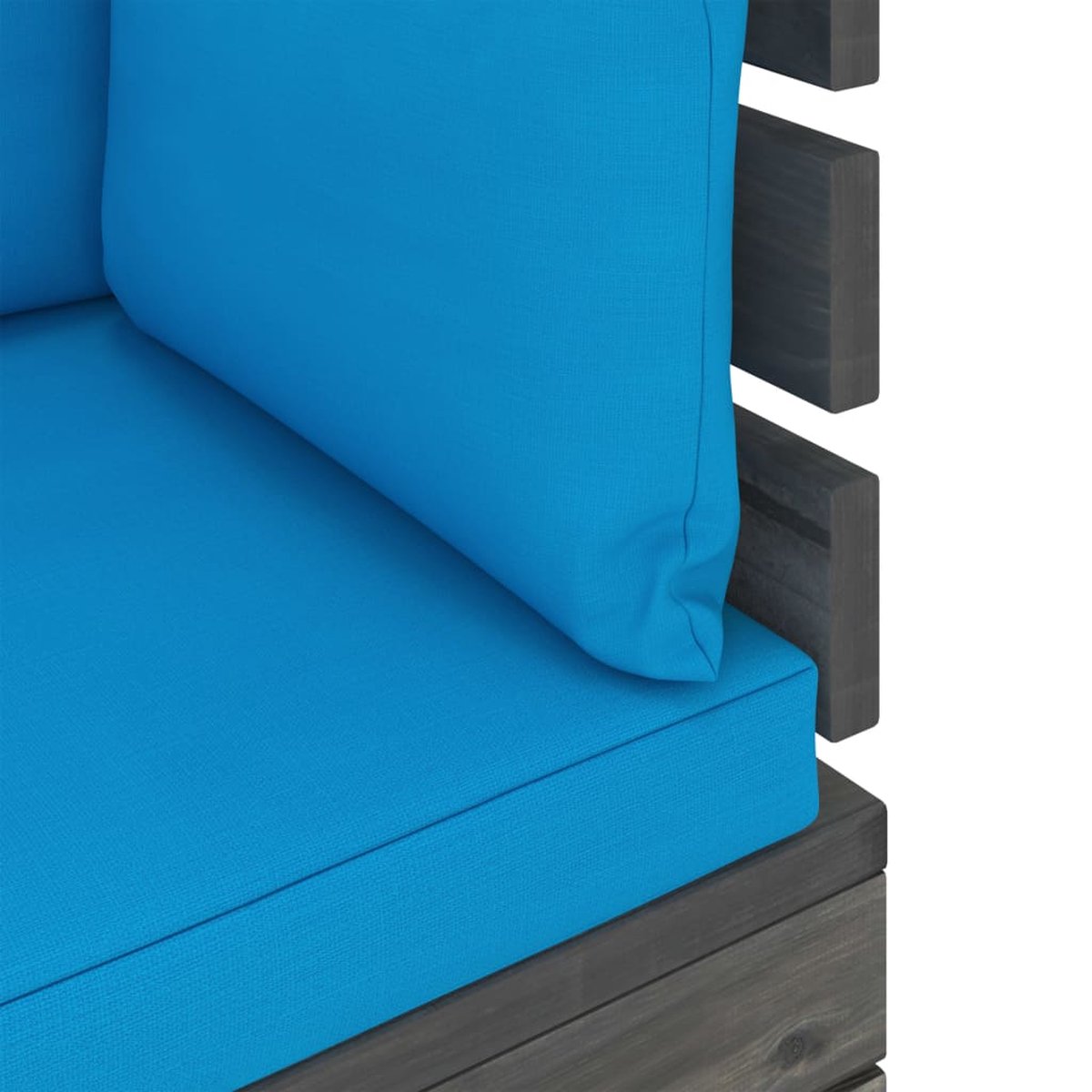 Vidaxl Tuinbank 2-zits Met Kussens Pallet Massief Grenenhout - Blauw