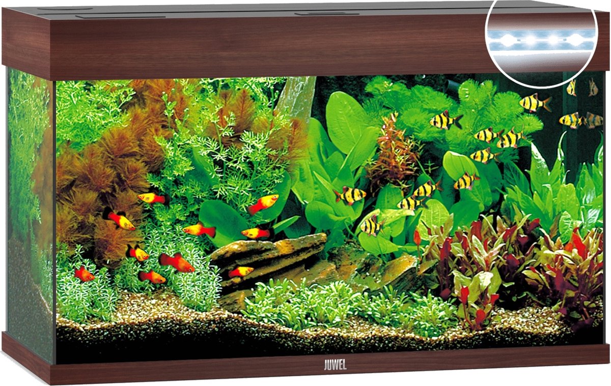 Juwel Aquarium Rio 125 Led 80x35x50 cm - Aquaria - Donkerbruin Ca. 125 L