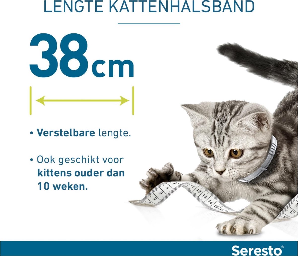 Seresto voor katten