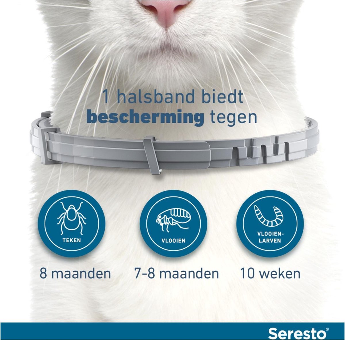 Seresto voor katten
