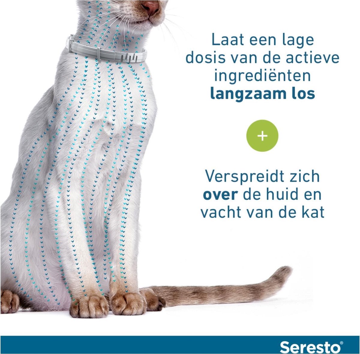 Seresto voor katten
