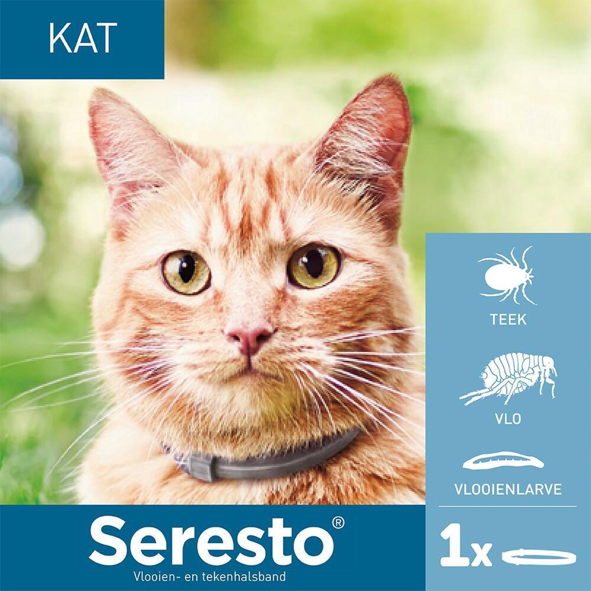 Seresto voor katten