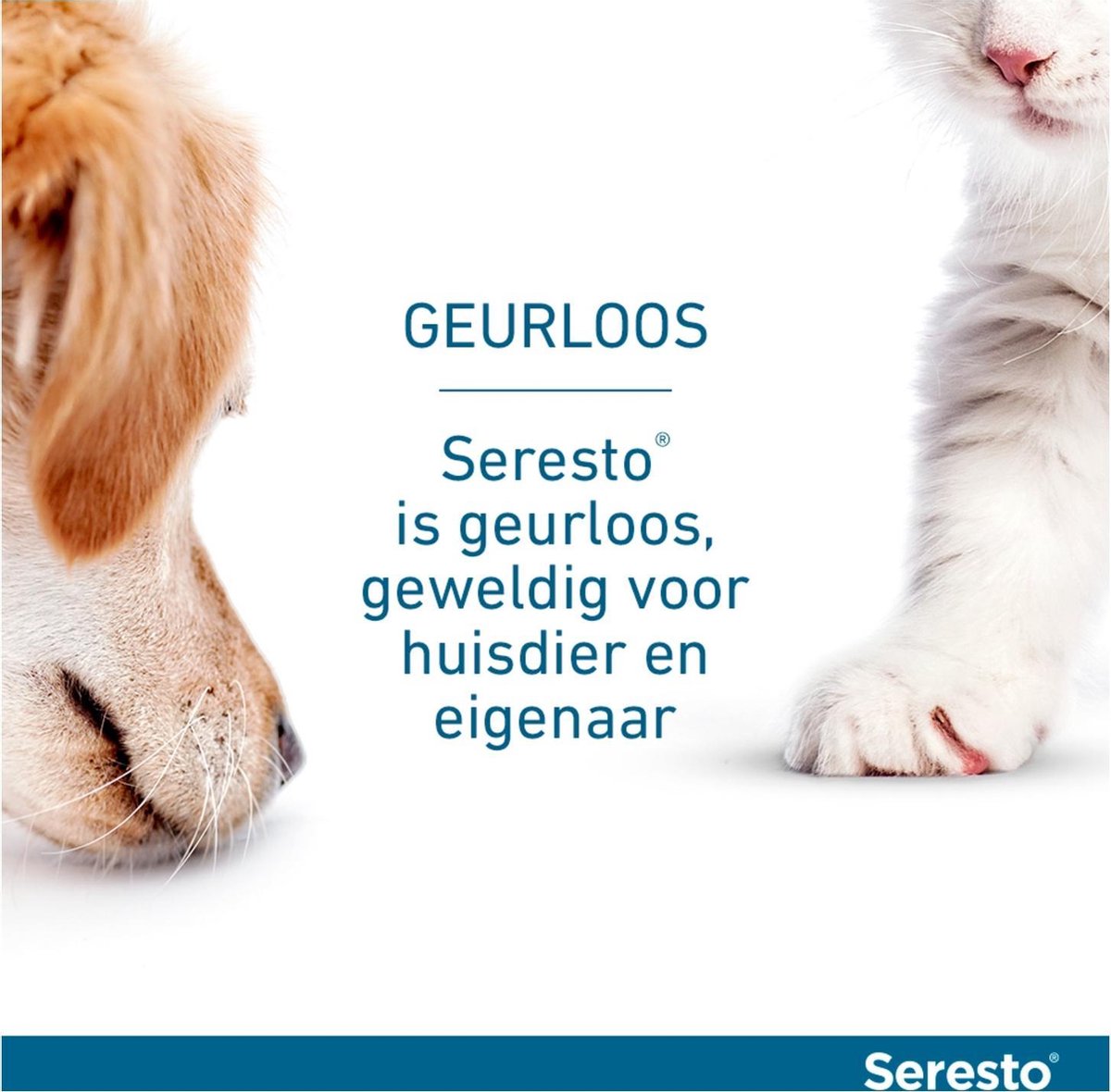 Seresto grote hond en gt 8kg