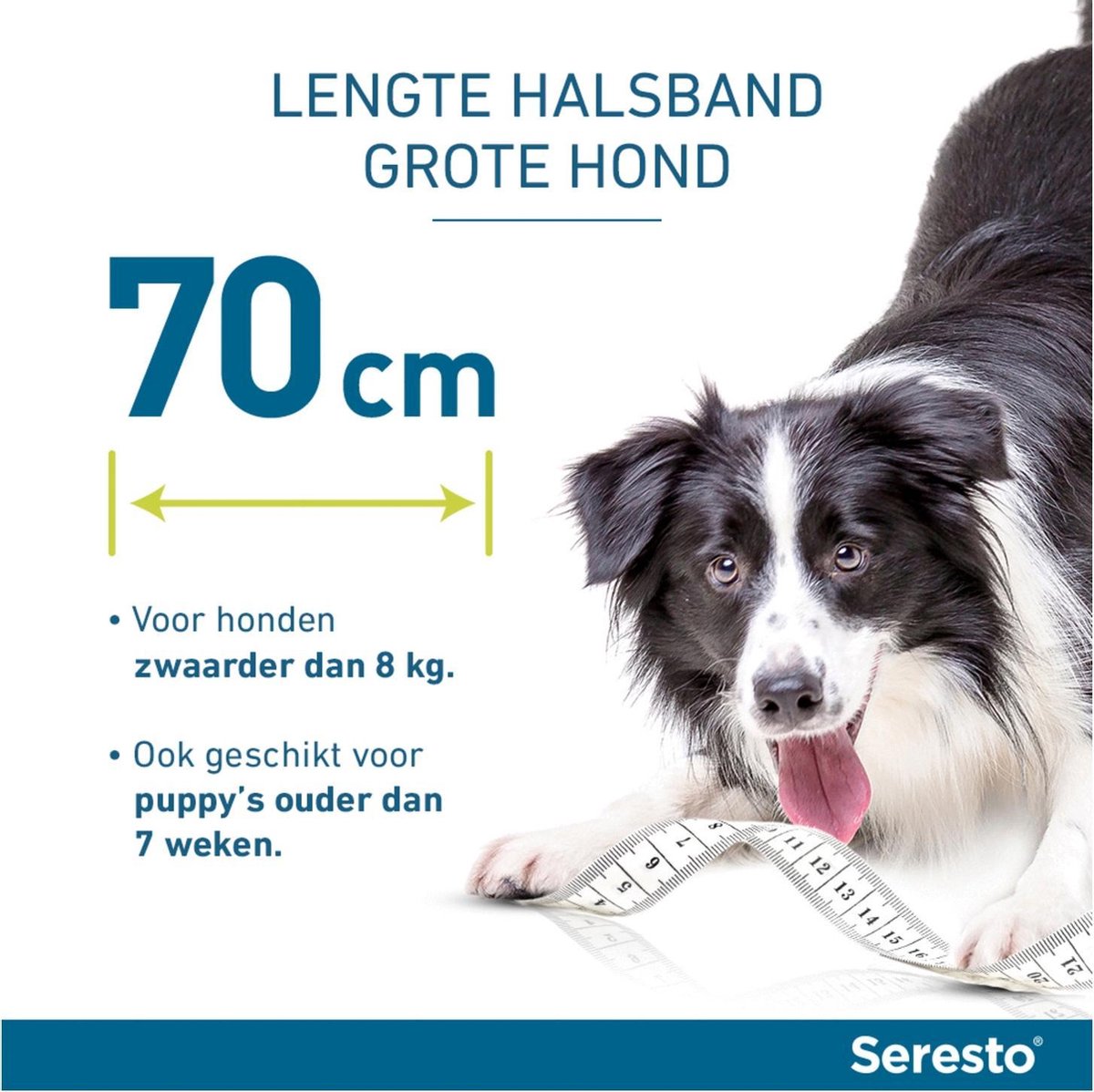 Seresto grote hond en gt 8kg