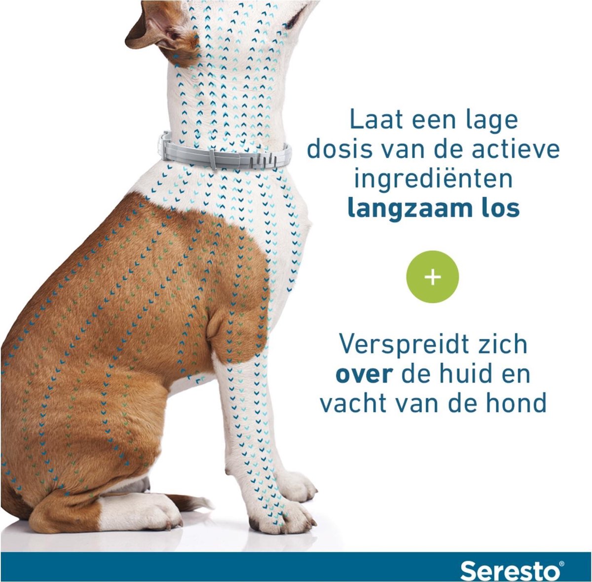 Seresto grote hond en gt 8kg