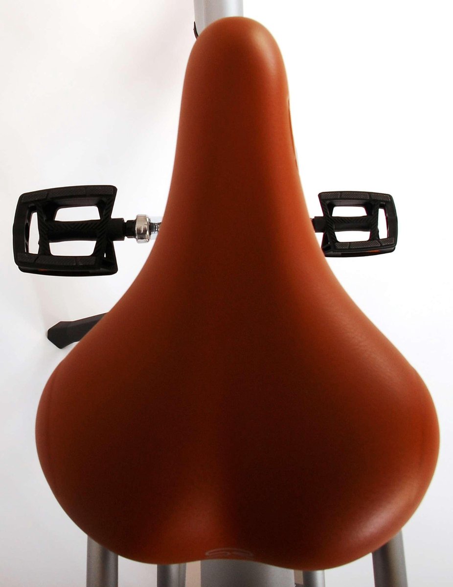 Volare Classic Oma 28 Inch 51 cm Dames Terugtraprem Zilver - Silver