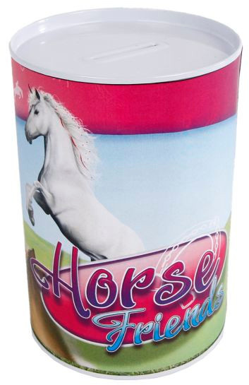 Horse Friends spaarpot meisjes 8,5 x 11,5 cm staal/blauw - Roze