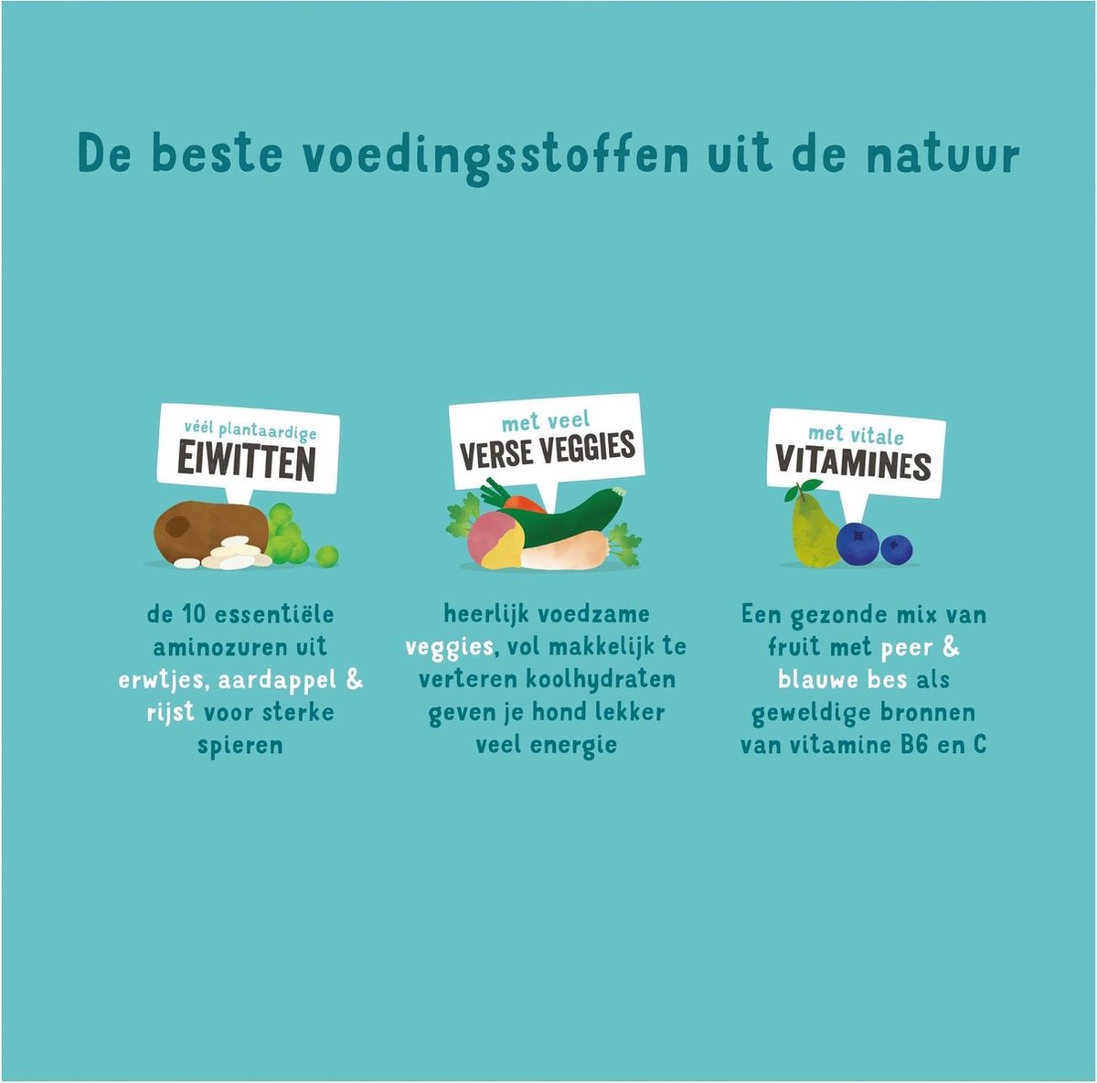 Edgard&Cooper Plantbased Adult Wortel&Courgette - Hondenvoer - 1 kg