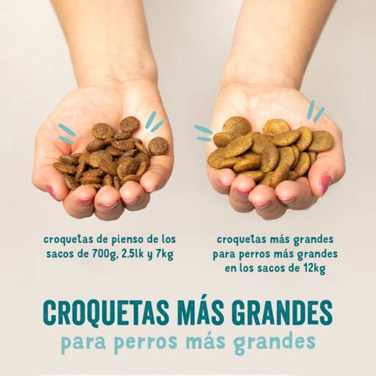 Edgard&Cooper Plantbased Adult Rode Biet&Pompoen - Hondenvoer - 2.5 kg