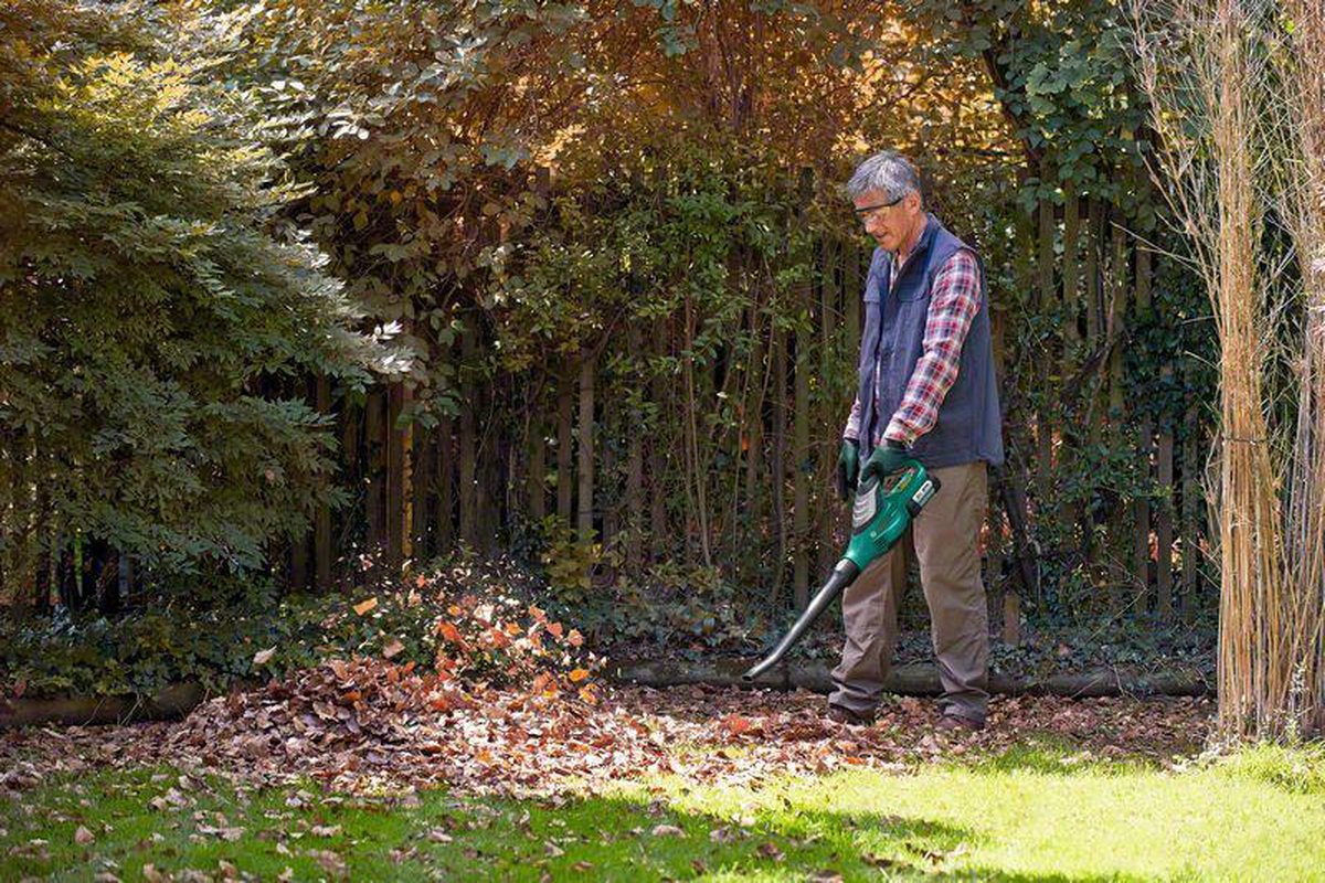 Bosch Bosch ALB 36 LI