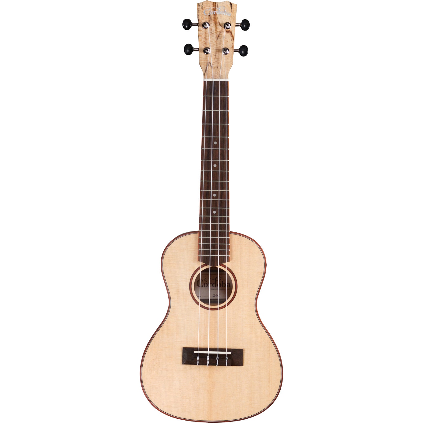 Cordoba 24C concert ukelele met sparrenhouten top