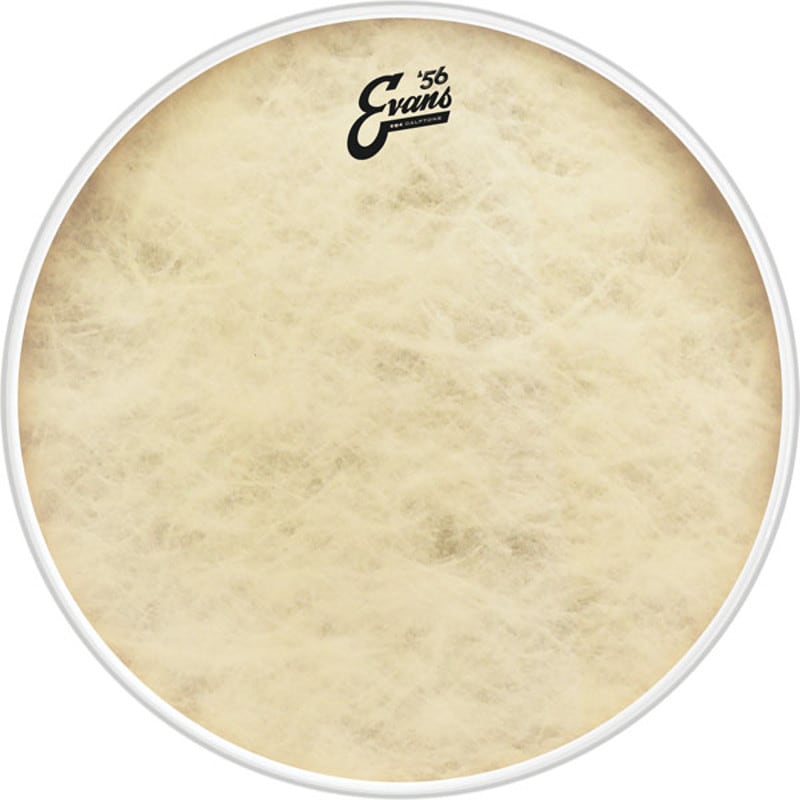 Evans '56 Calftone EQ4 BD16GB4CT bassdrumvel 16 inch