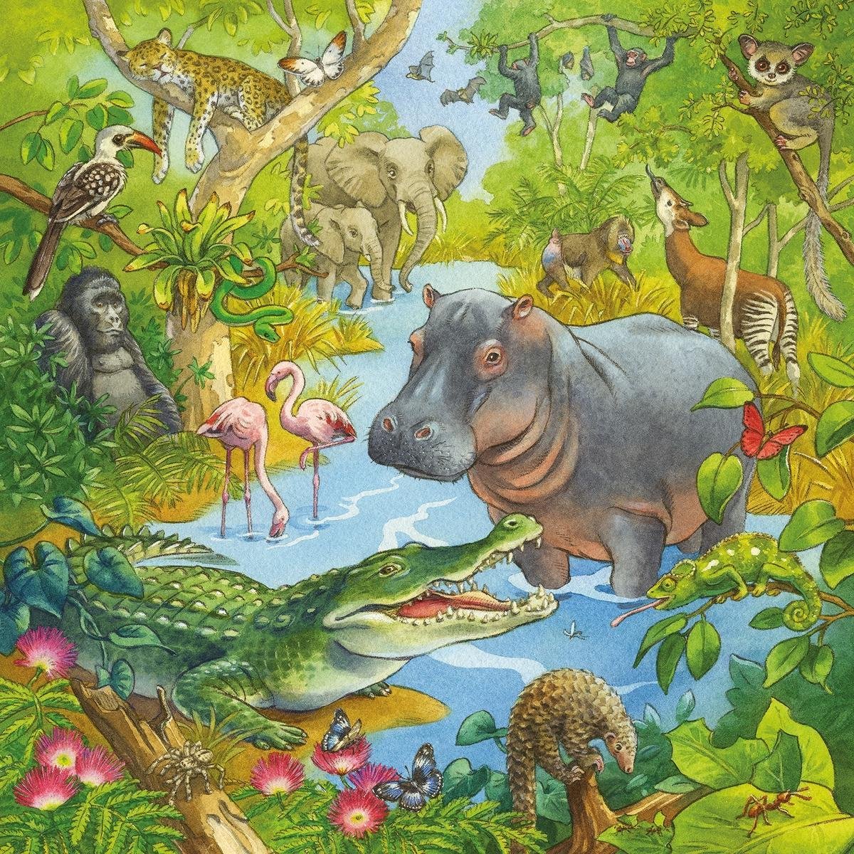 Ravensburger Puzzel In Het Oerwoud 3x49 Stukjes