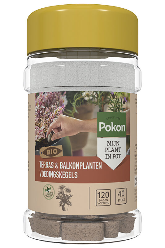 Pokon Bio Terras & Balkon planten Voedingskegels 40st