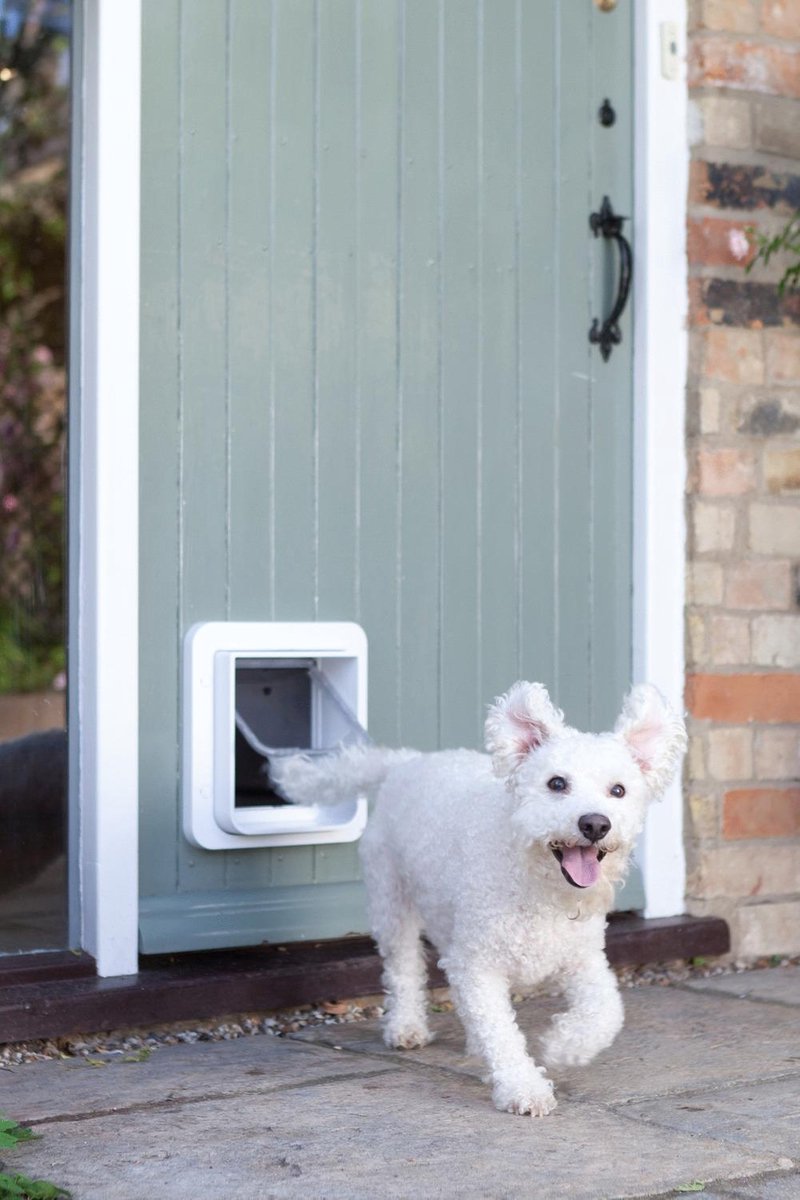 SureFlap Dierenluik Microchip Dualscan - Kattenluik - 20x20x7 cm - Wit