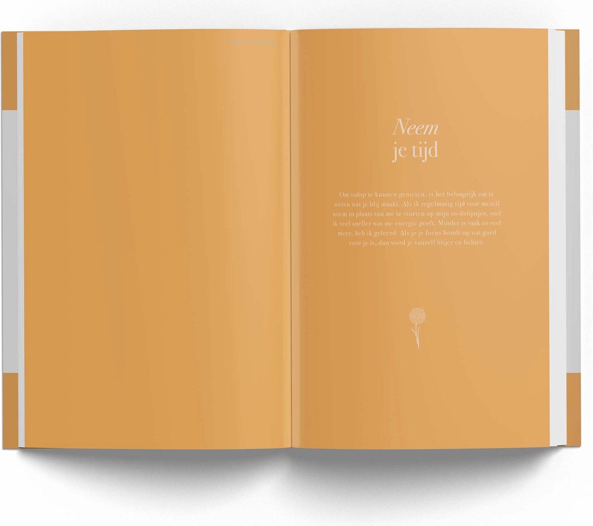 Dagboek voor blijdschap