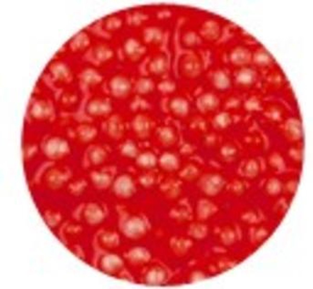 Foam Clay 560 gram - Rood