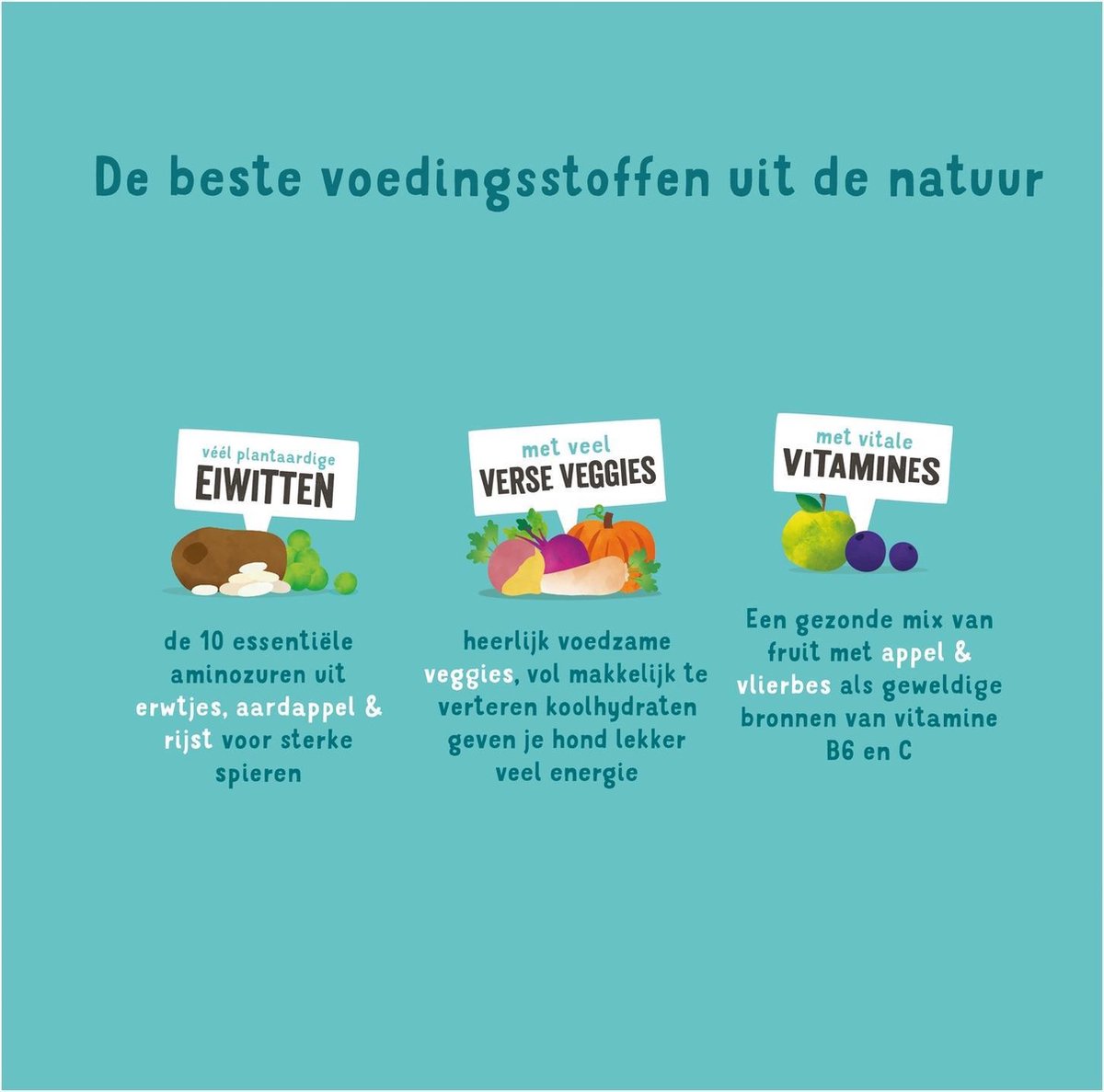 Edgard&Cooper Plantbased Adult Rode Biet&Pompoen - Hondenvoer - 7 kg