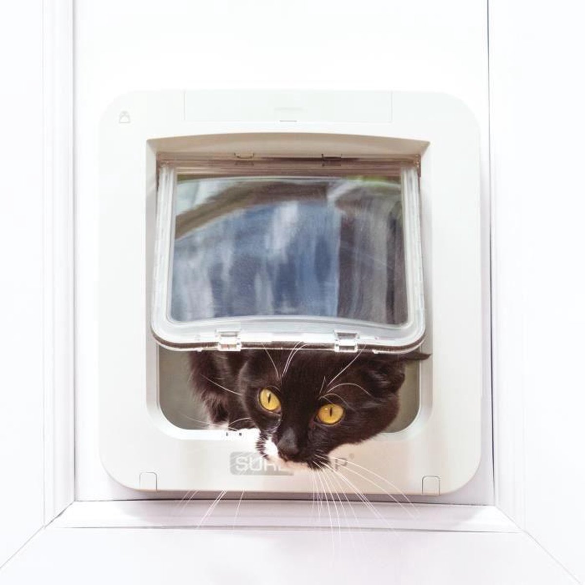 SureFlap Microchip Huisdierluik Connect - Kattenluik - - Wit