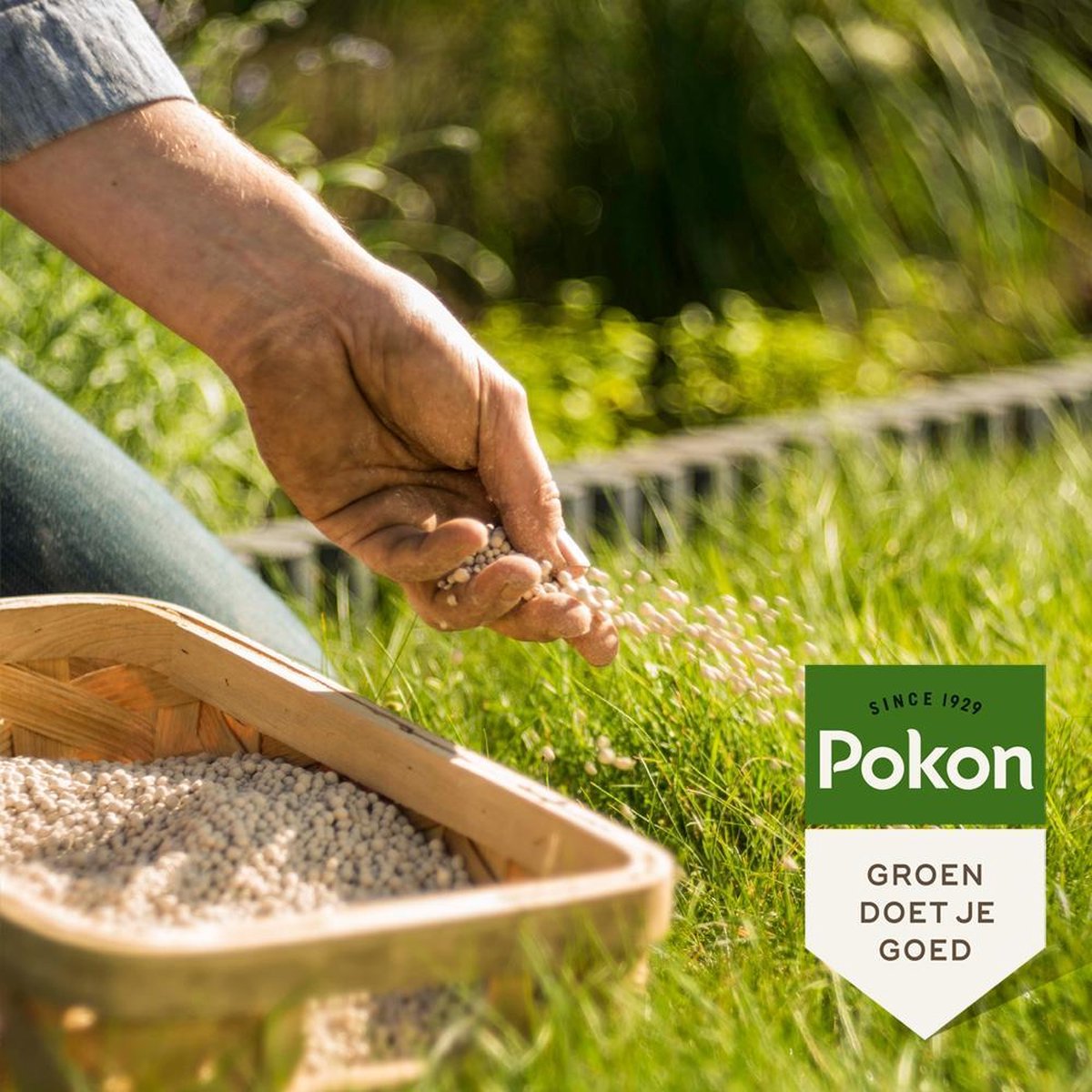 Pokon Bio Kalk 10kg