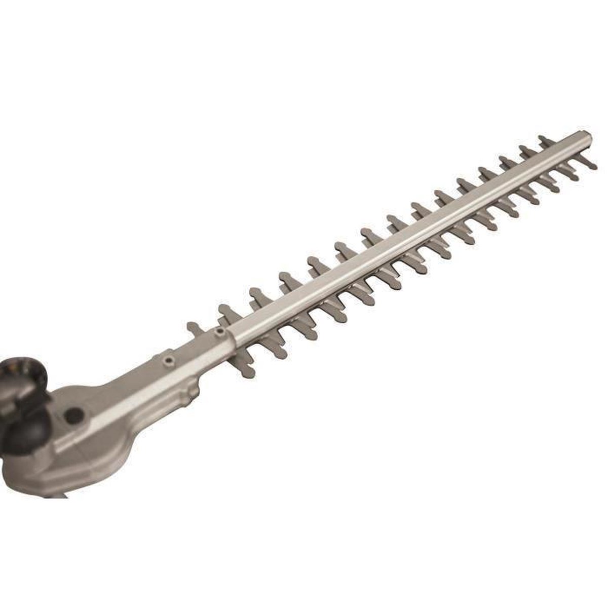 Scheppach Heggenschaar Telescopisch Tph500 - Zwart