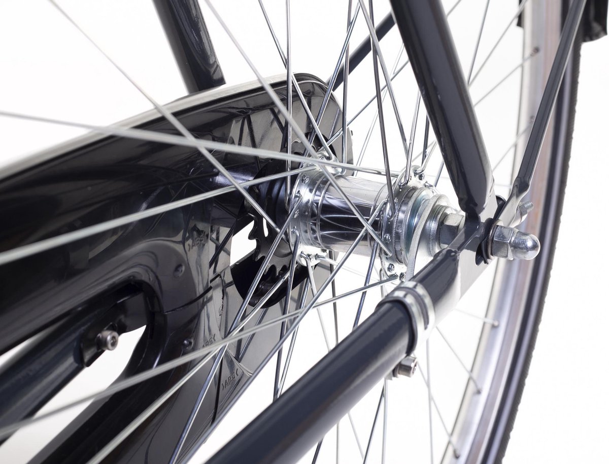 Amigo Transportfiets Heren Forest 28 Inch 58 Cm Heren Terugtraprem Antraciet