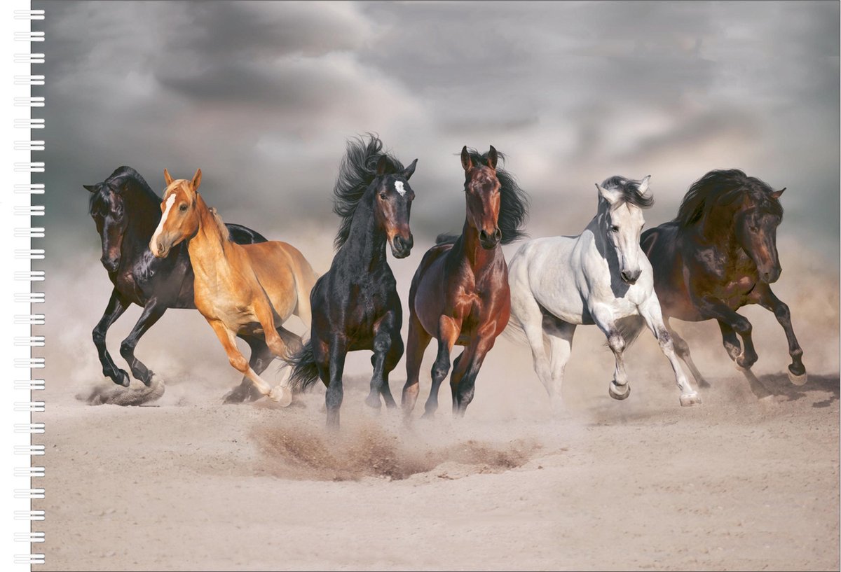 Bellatio Design Schetsboek Paarden Liefhebbers Thema A4 50 Paginas Met 10 Gelpennen - Tekenen Creatief Cadeau Voor Kinderen/meisjes - Wit