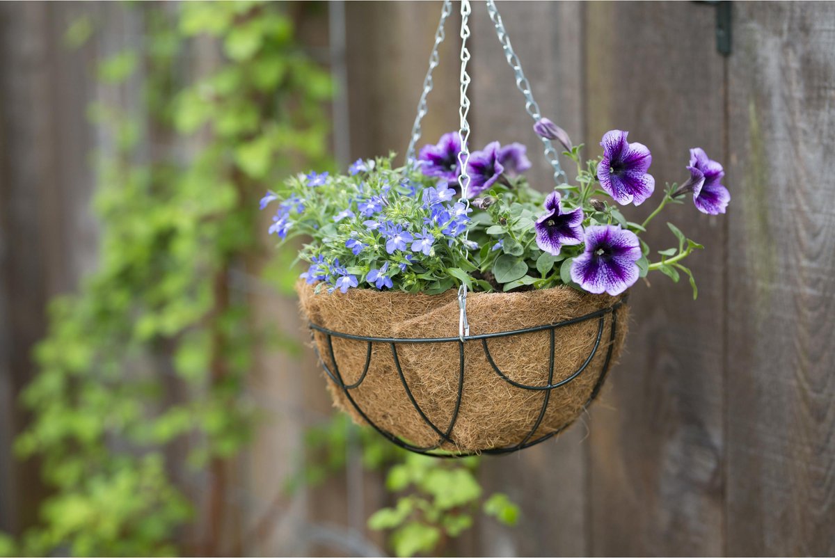 Nature Inlegvel Kokos Voor Hanging Basket 30 Cm - Kokosinleggers / Plantenbak Van Kokos - Bruin