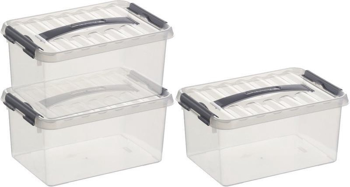 Sunware 3x Q-line Opberg Boxen/opbergdozen 6 Liter 30 Cm Kunststof- Opslagbox - Opbergbak Kunststof Transparant/zilver