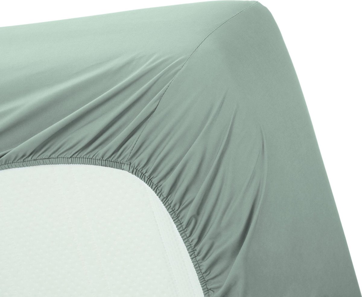 AMBIANTE Cotton Uni Hoeslaken - 100% Katoen - 1-persoons (90x200 Cm) - Green - Groen