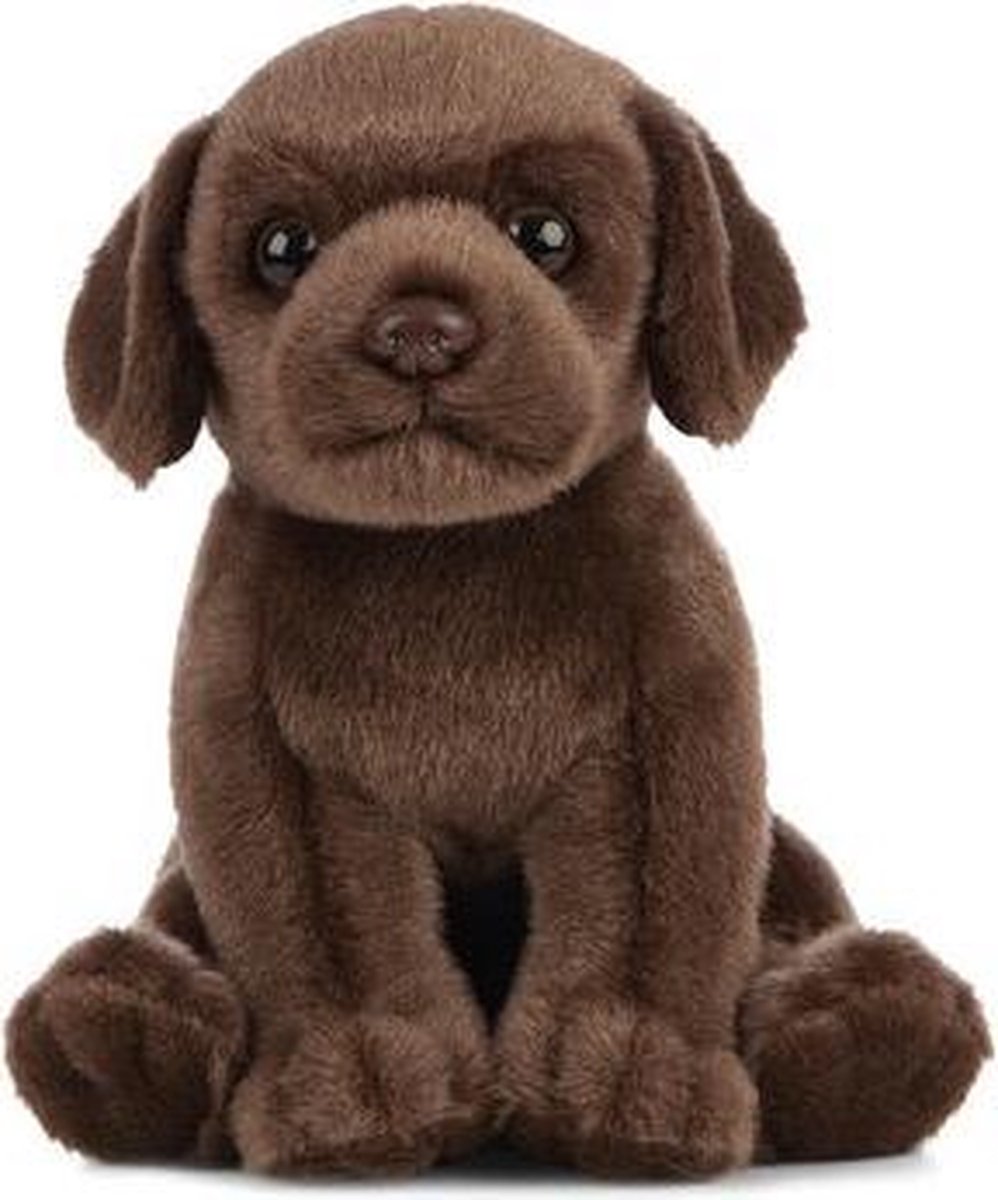 Living Nature Pluchee Labrador Hond Knuffel 16 Cm - Honden Huisdieren Knuffels - Speelgoed Voor Kinderen - Bruin