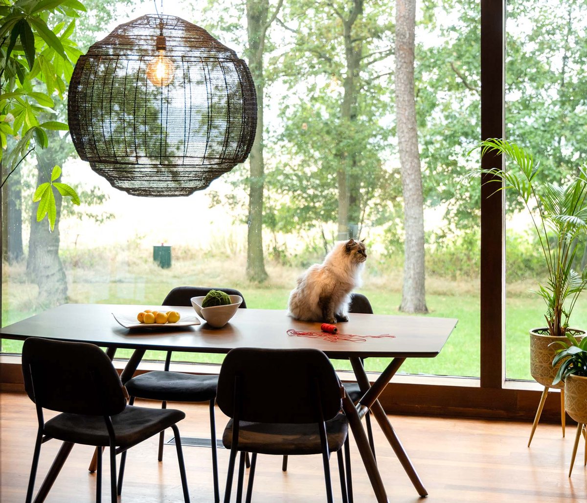 Dutchbone Malaya Eettafel 180 x 90 cm - Bruin