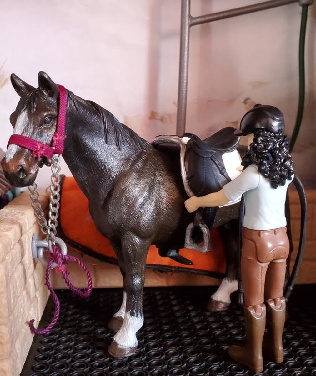 Schleich Horse Club Emily En Luna 42438