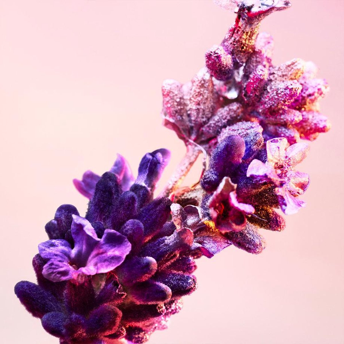 Paco Rabanne Phantom Deodorant 150ml