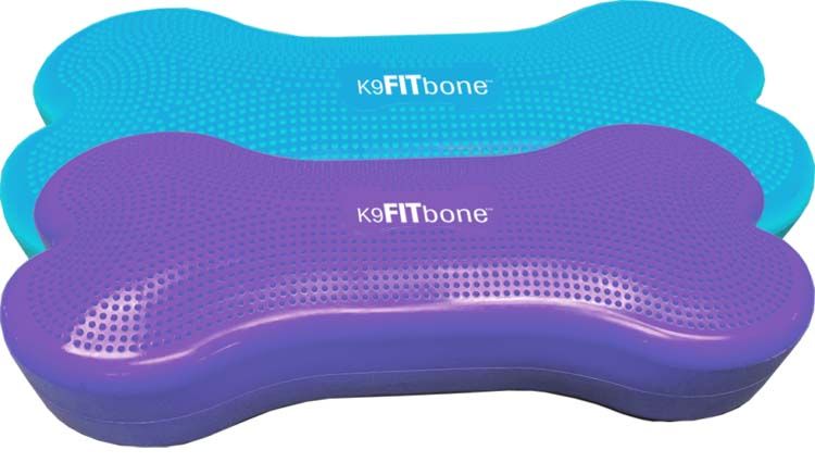 FitPAWS Giant K9FITbone - Verde