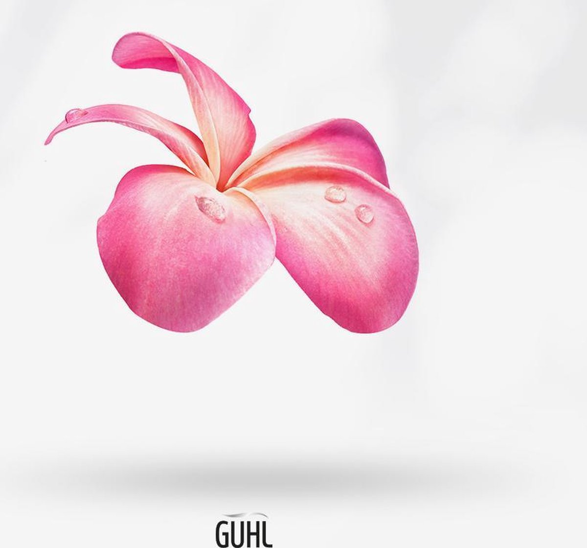 Guhl Shampoo Rijke Voeding Baobab-Olie 200ml