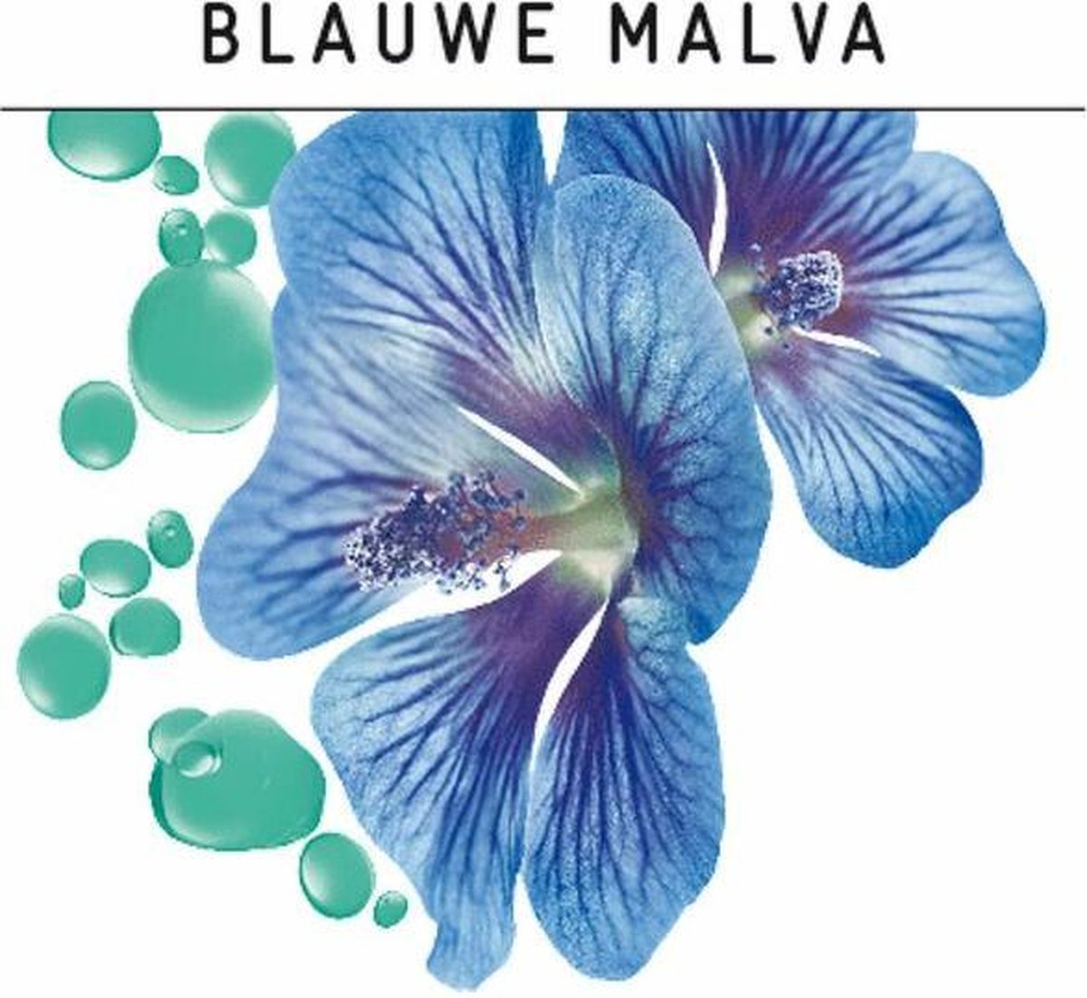 Guhl Shampoo Anti-Roose Malva 200ml - Blauw