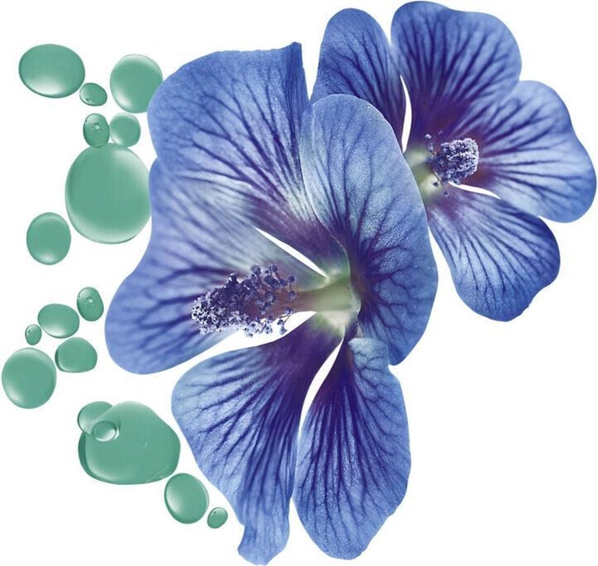 Guhl Shampoo Anti-Roose Malva 200ml - Blauw