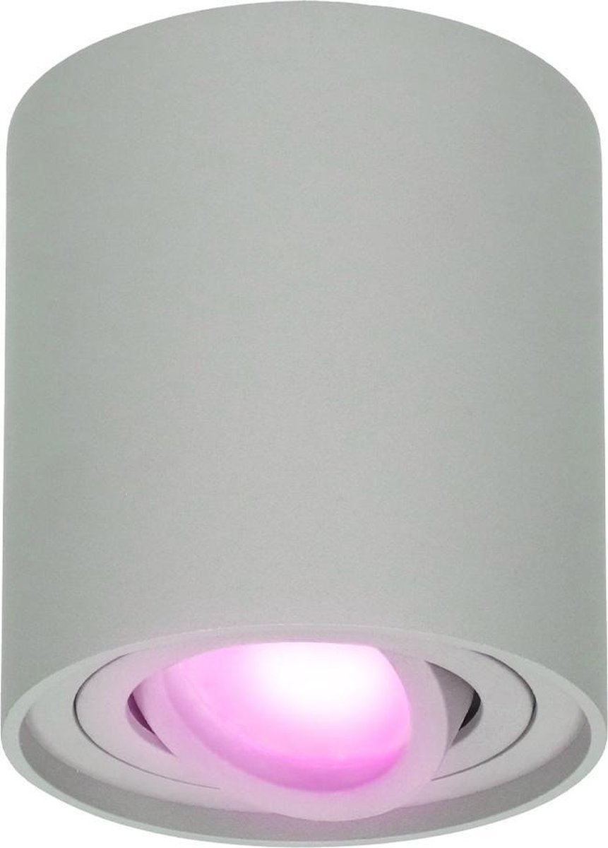 Smart WiFi LED opbouw plafondspot Ray RGBWW GU10 IP20 kantelbaar - Grijs