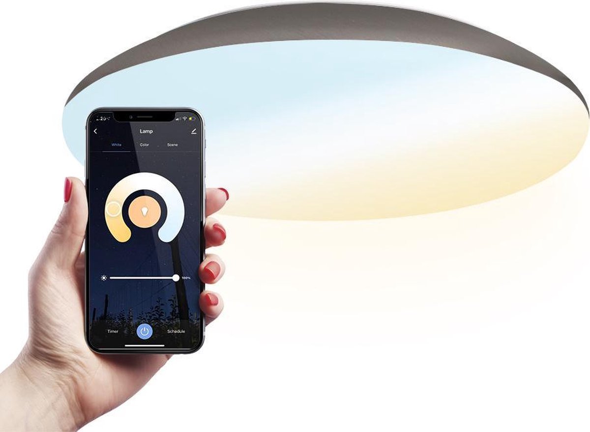 LED Plafondlamp WiFi + Bluetooth 18W Lichtkleur instelbaar - 1900lm - IK10 - Ø30 cm - RVS - IP65