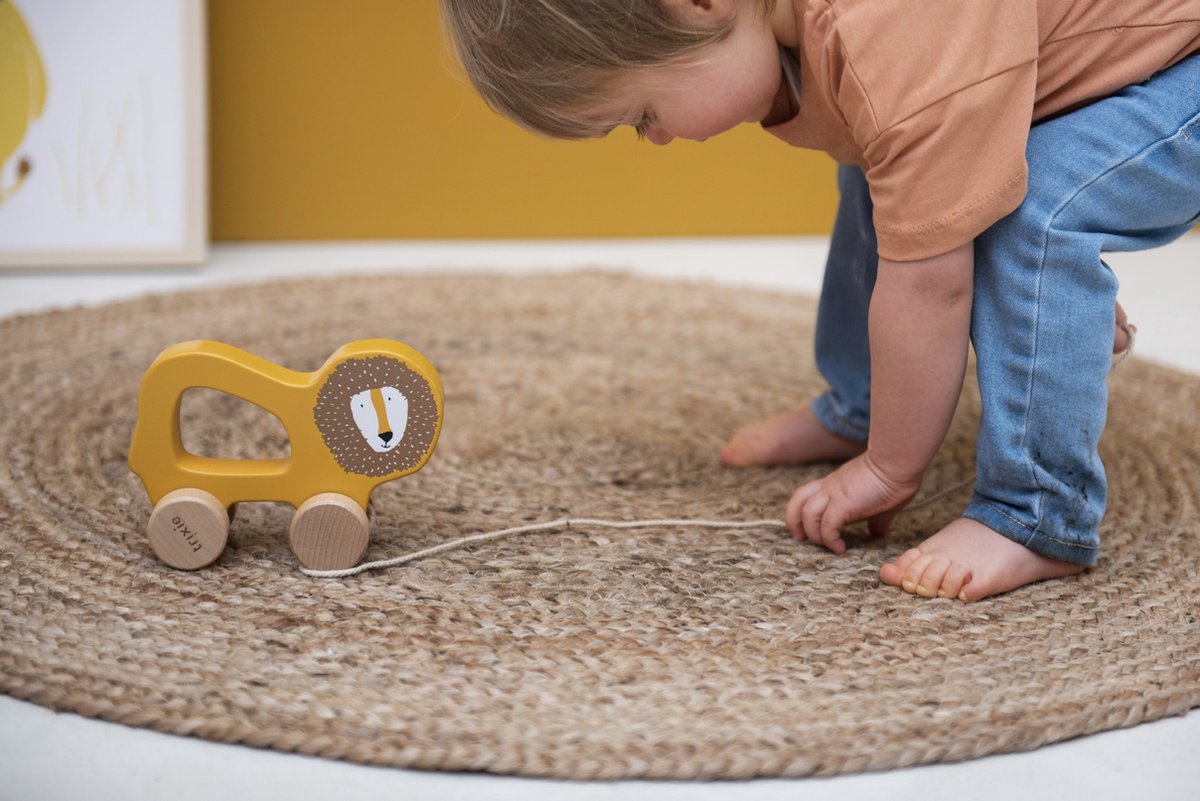 Trixie Houten Trekspeeltje - Mr. Lion