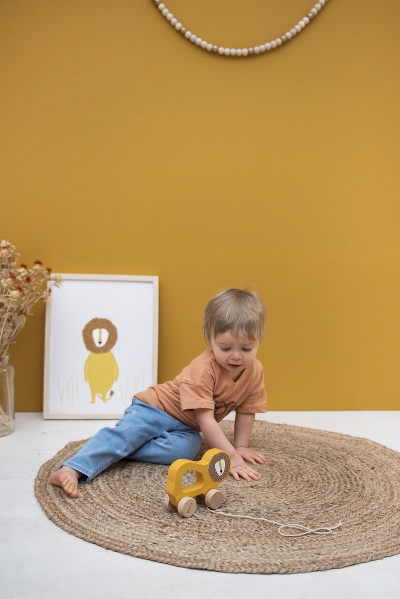 Trixie Houten Trekspeeltje - Mr. Lion